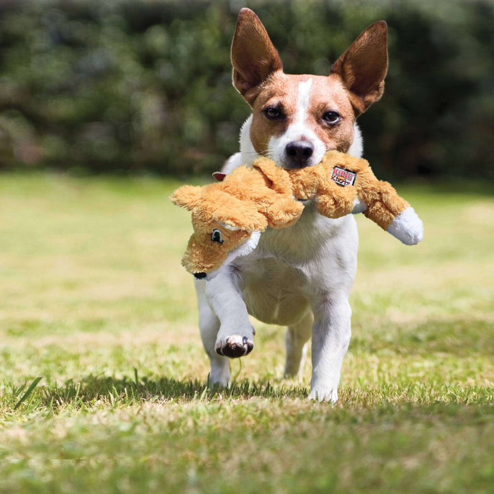 Dog running with a plush toy in a grassy field