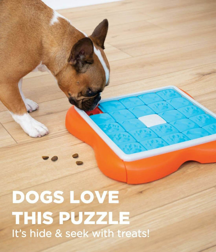 Close-up of French Bulldog sniffing the orange and blue Challenge Slider puzzle toy—treats scattered nearby on hardwood floor.