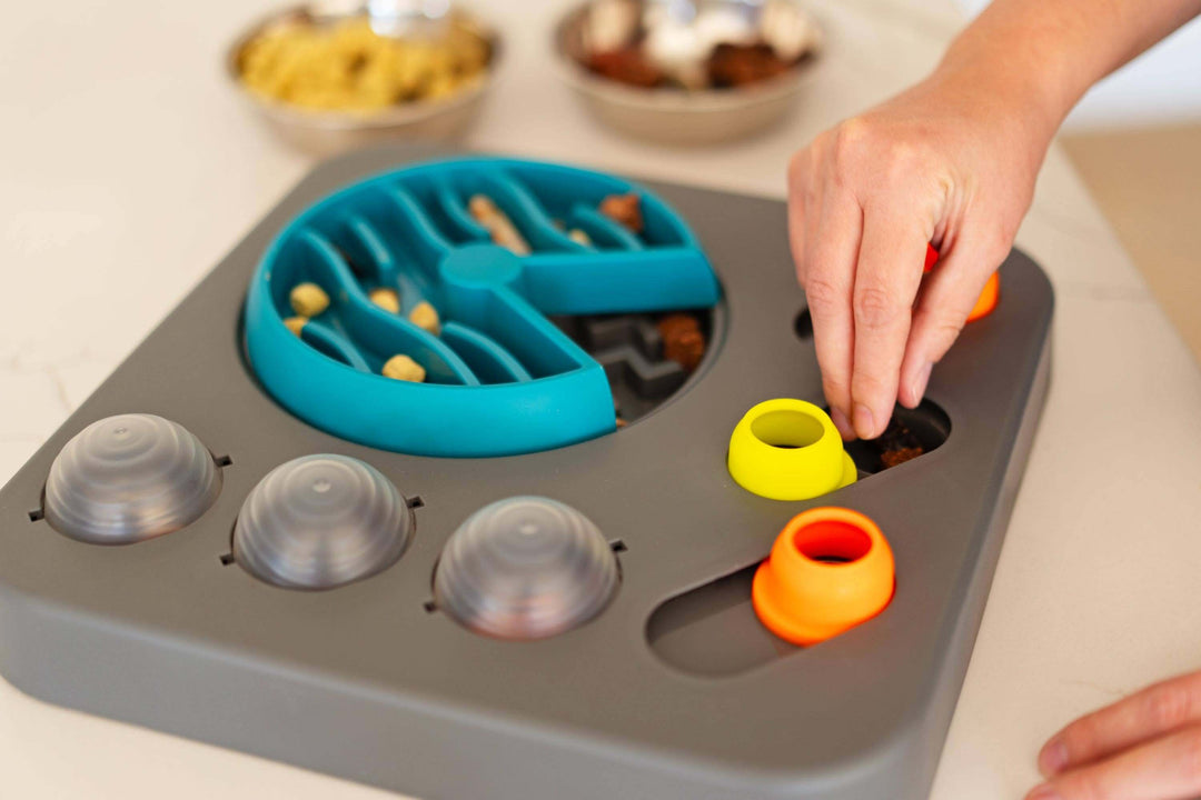 Person hiding treats in the Messy Mutts Flip & Slide interactive dog puzzle.
