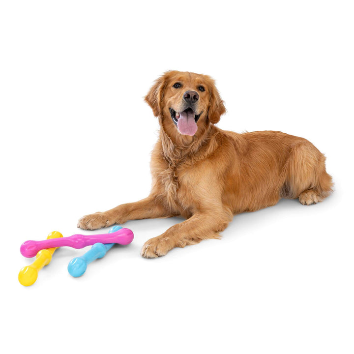 Dog lying on a white surface with colorful bone-shaped toys beside it