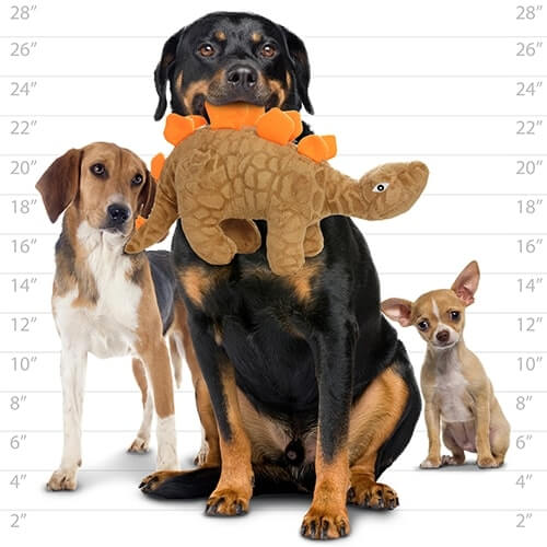 Large Rottweiler holding a brown plush dinosaur dog toy with orange spikes in mouth, sitting beside two smaller dogs.