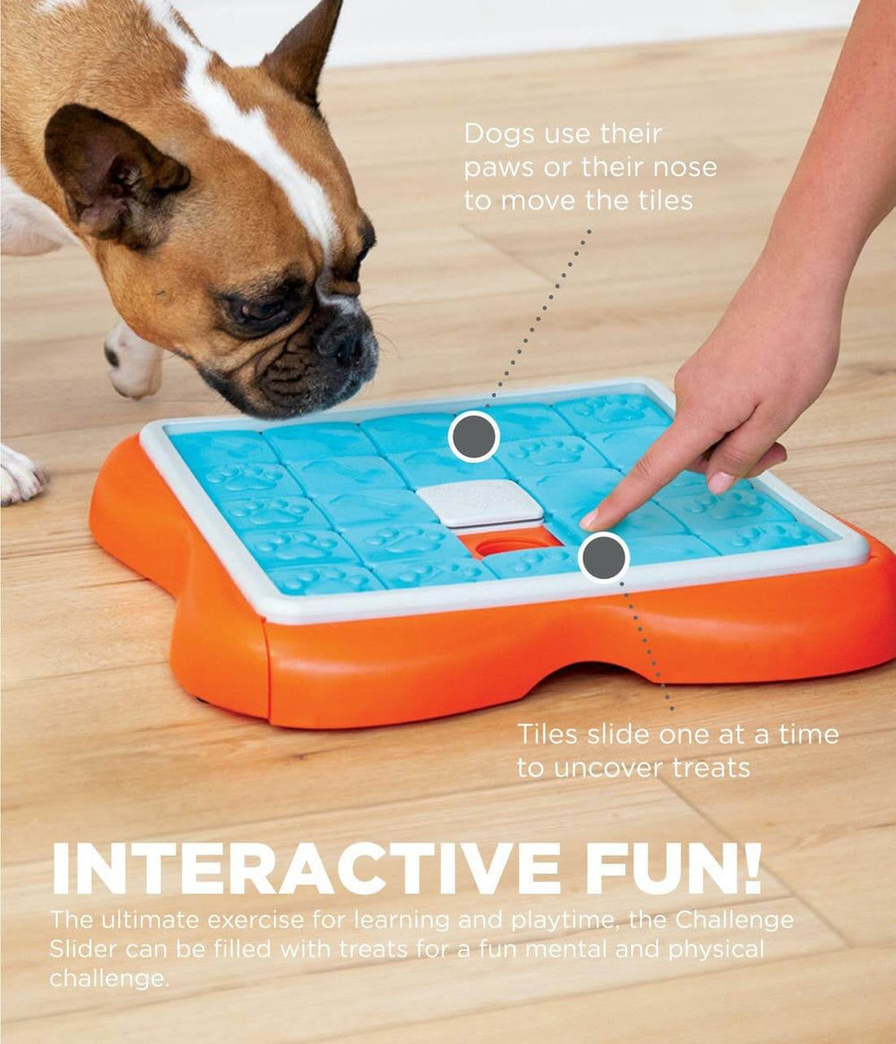 French Bulldog watching as a hand slides tile on the Challenge Slider to reveal hidden treat—perfect for interactive bonding and training.