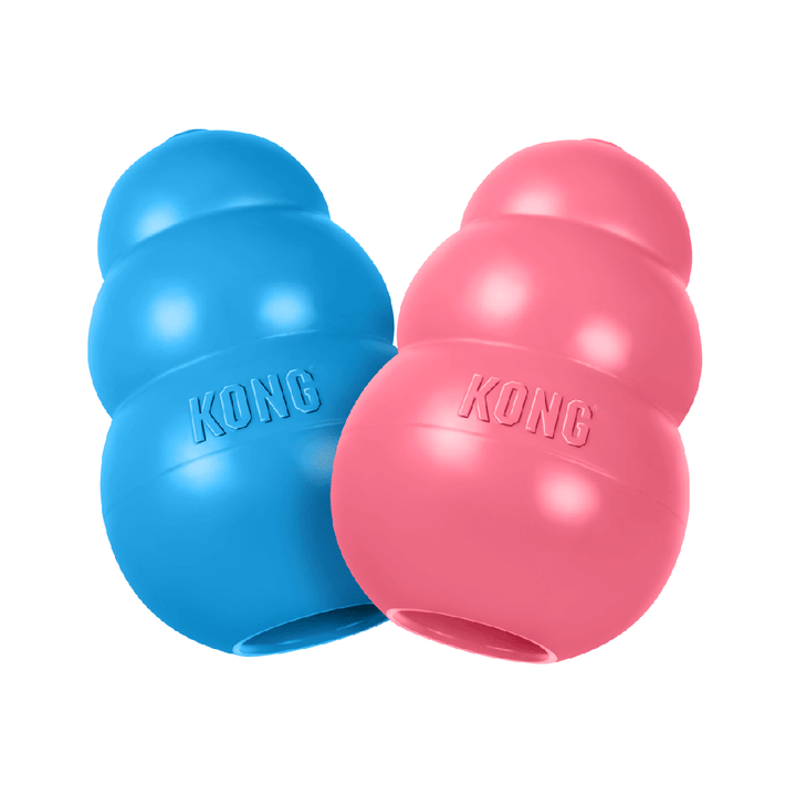 KONG® Puppy