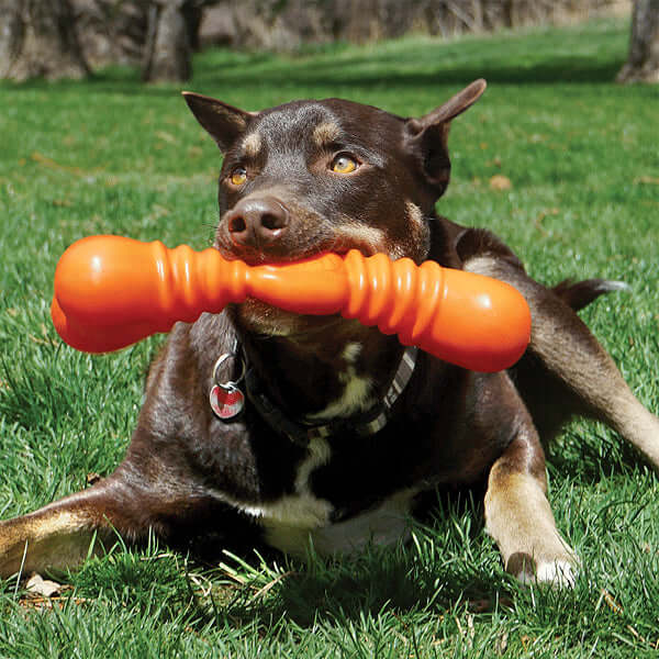 KONG SqueakStix Wigglerz Large 12" Dog Toy (Orange)