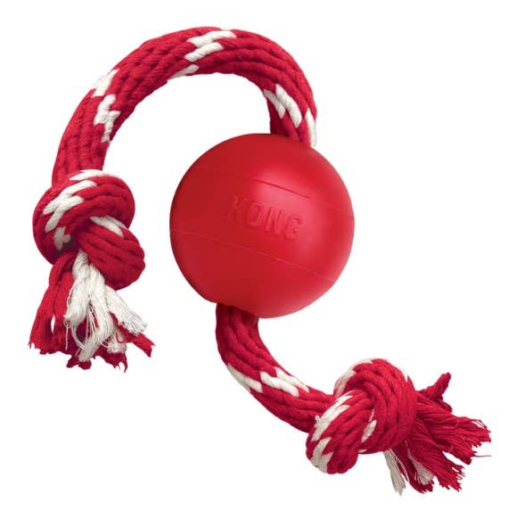 Red KONG dog toy with white rope on a white background
