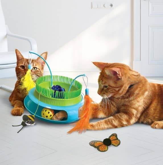 Two cats playing with a colorful cat toy on a white floor.