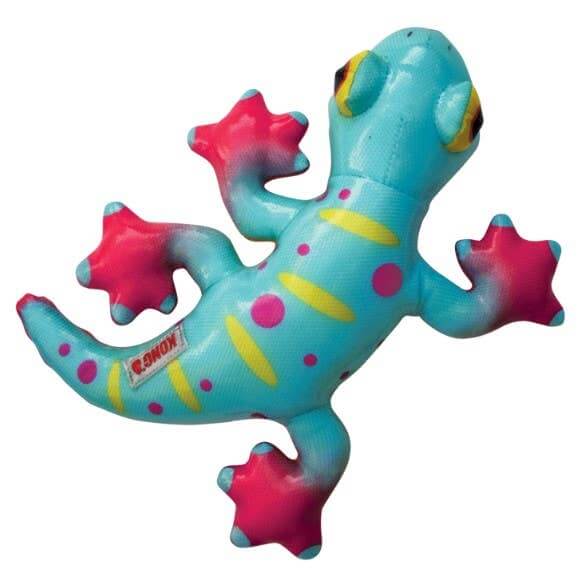 Bright blue and pink KONG Shieldz Gecko dog toy with tough coated surface, colorful design, and squeaky body.