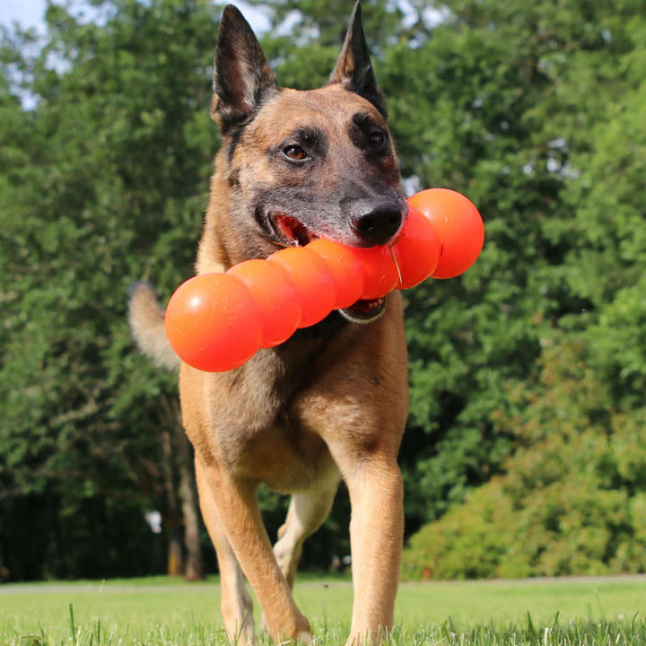 DAWG BUSTER Garantía de por vida