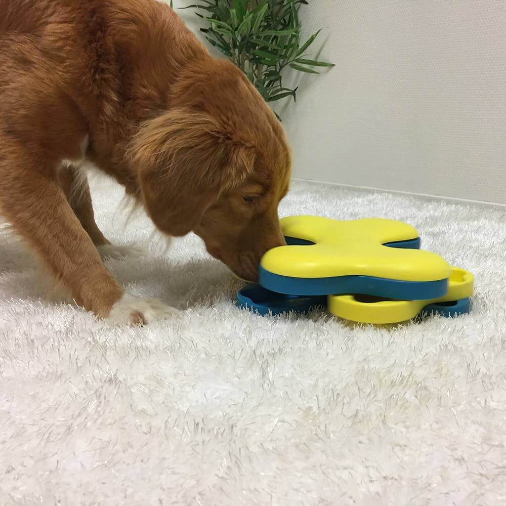 Golden retriever engaging with the Dog Tornado puzzle toy to find hidden treats.