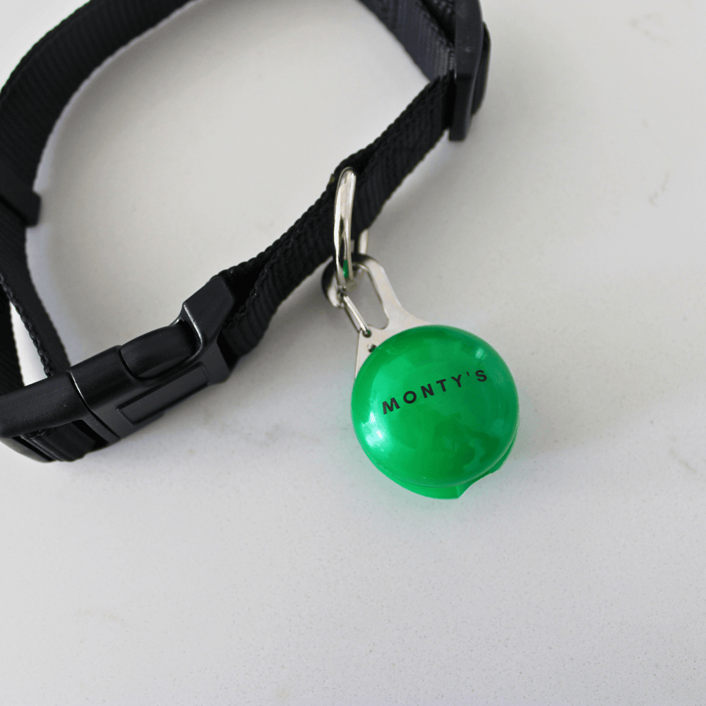 Black adjustable nylon dog collar with green LED ID tag labeled "Monty's" for nighttime pet visibility.
