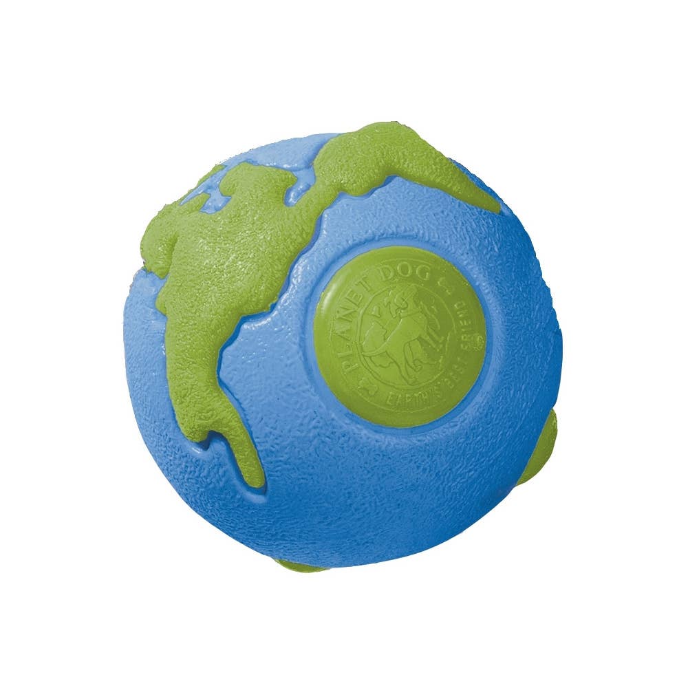Planet Dog Orbee-Tuff Earth ball toy for dogs, blue and green with textured surface and world map design.
