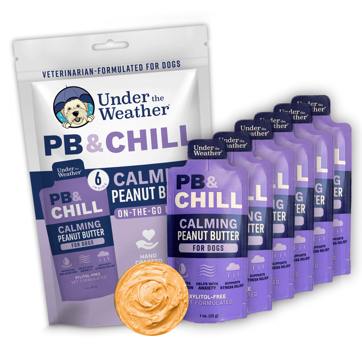 PB & Chill calming peanut butter for dogs by Under the Weather on a white background