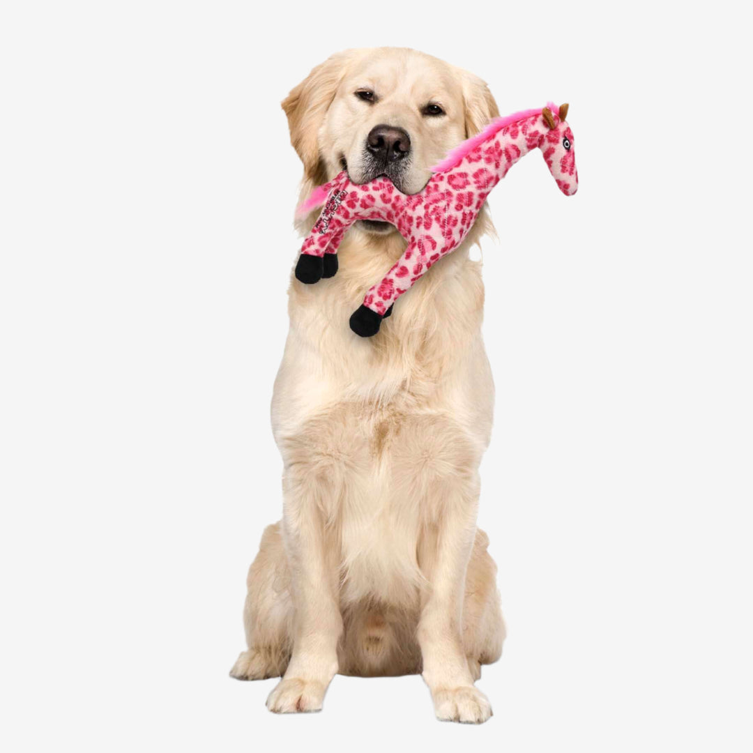 Golden Retriever holding pink Safari Giraffe plush toy, ideal for large dog breeds.