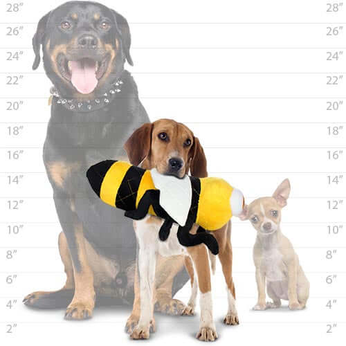 Medium-sized dog holding a plush bee dog toy, standing in front of a dog size comparison chart with a Rottweiler and Chihuahua.