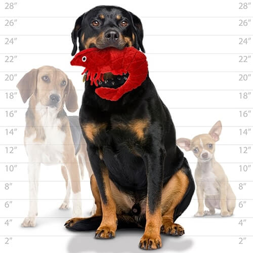 Mighty® Ocean Prawn Dog Toy