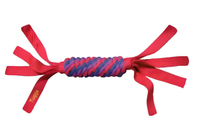 KONG Tugga Wubba dog toy in red with twisted rope body and extended nylon tails—ideal for fetch and tug-of-war.