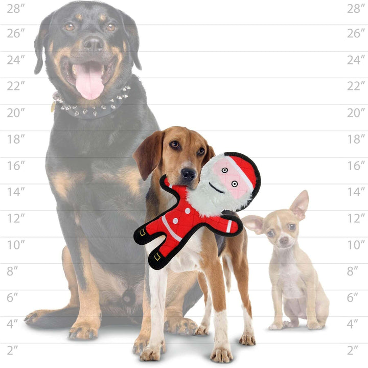 Three dogs of different sizes holding a Santa-shaped dog toy, showing the size of the toy in proportion to small, medium, and large breeds.