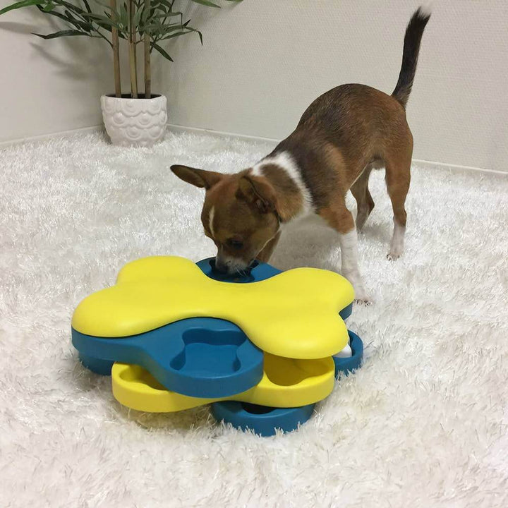Small brown and white dog using the Dog Tornado treat puzzle toy on a white carpet.