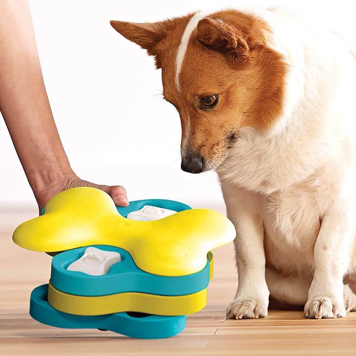 Pet parent assisting curious dog with a Nina Ottosson Dog Tornado interactive puzzle on hardwood floor.
