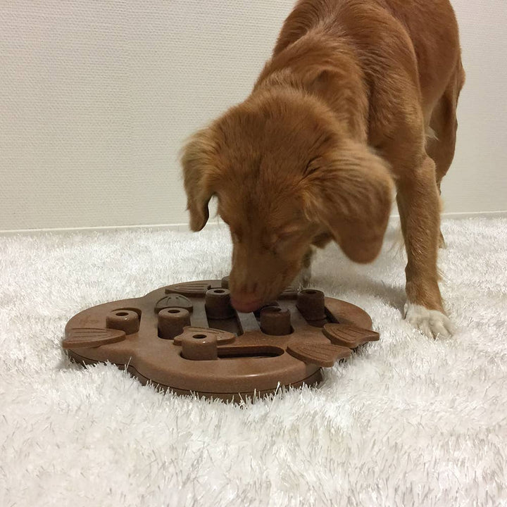 Medium-sized brown dog sniffing the Dog Hide N’ Slide puzzle to uncover hidden treats—stimulates curiosity and problem-solving skills.