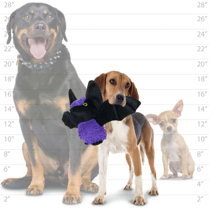 A size comparison image showing a medium-sized dog holding the bat plush toy in front of a size chart with two other dogs.