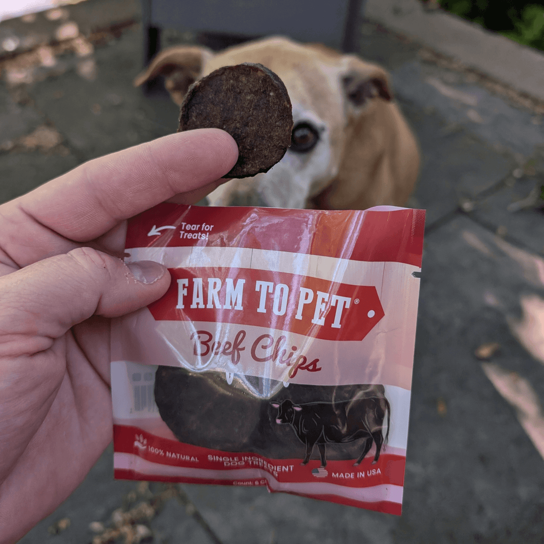 Beef Chips Snack Packs for Dogs (24)
