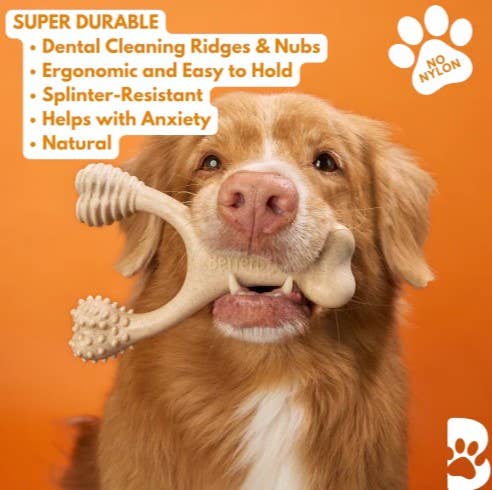 BetterBone Hard Beef Dog Chew Toy Large