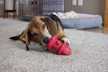 Spunky Pup Rubber Hydrant - Made in the USA: Large