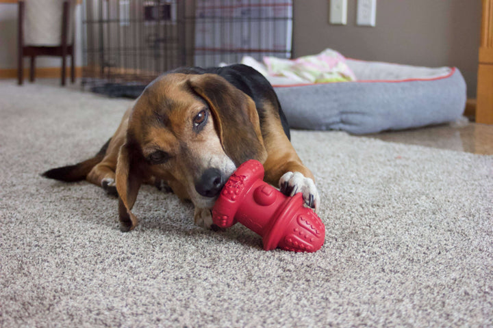 Spunky Pup Rubber Hydrant - Made in the USA: Large