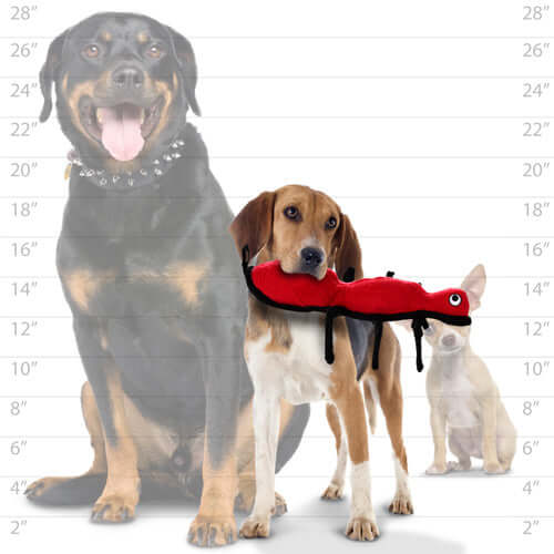 Tuffy® Desert Ant Dog Toy