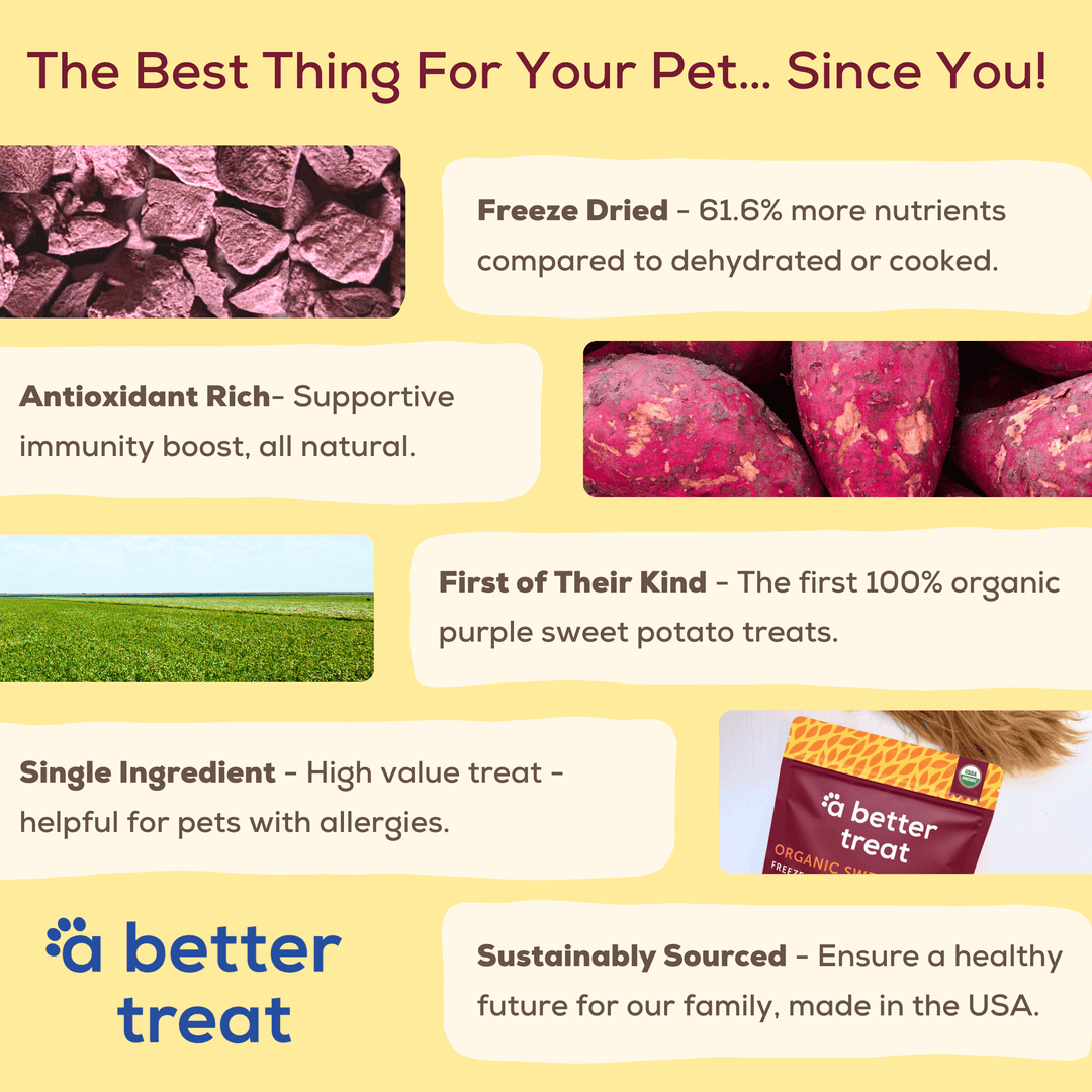Organic Freeze Dried Purple Sweet Potato Dog and Cat Treats