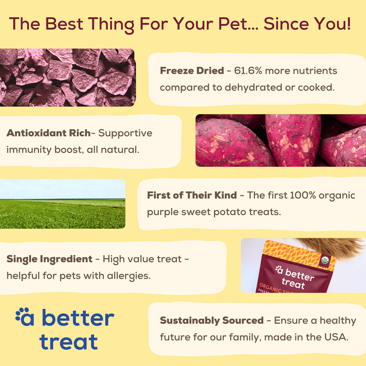 Organic Freeze Dried Purple Sweet Potato Dog and Cat Treats