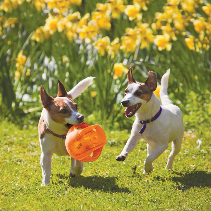 KONG® Jumbler™ Ball - Medium/Large