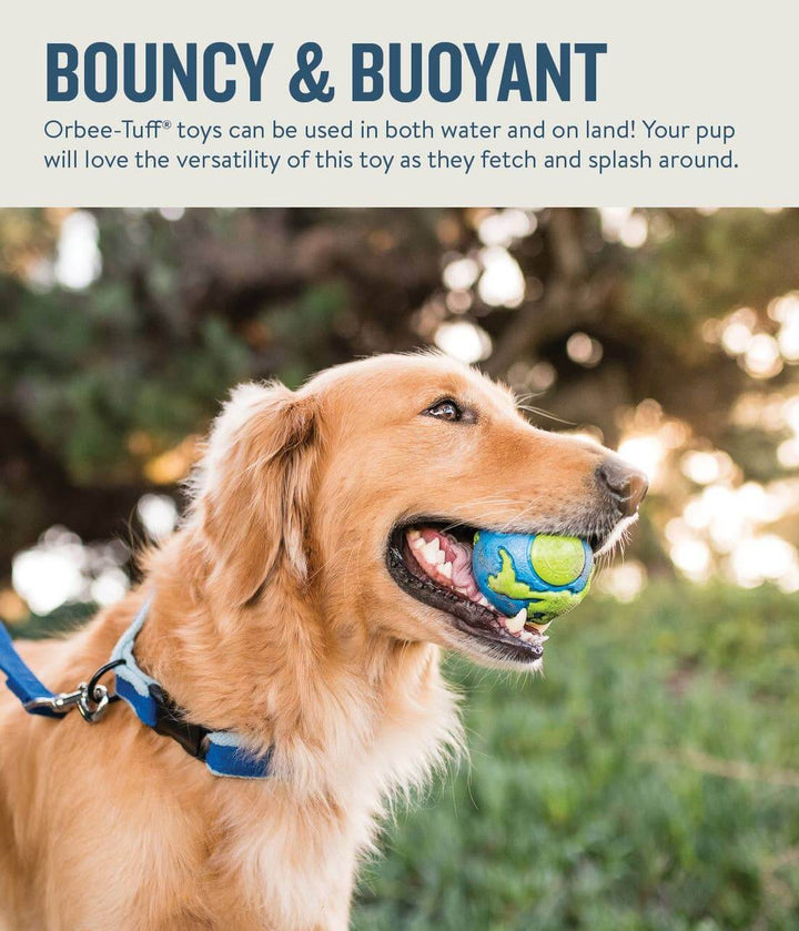 Planet Dog Orbee-Tuff Planet Ball Dog Toy Blue/Green Medium