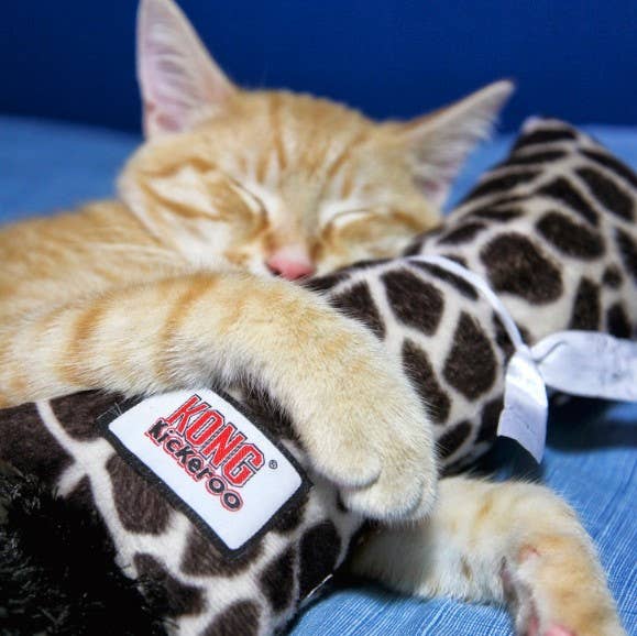 KONG® Kickeroo® Pattern #1 Cat Toy