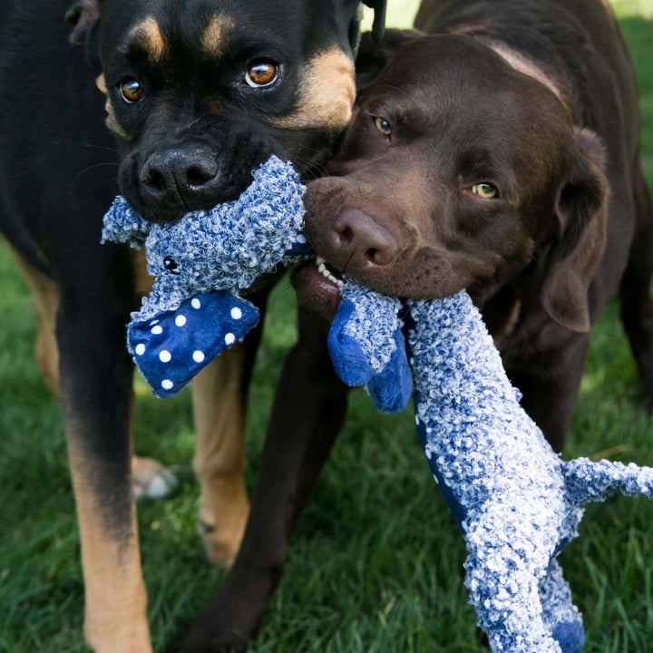 KONG® Shakers™ Luvs Elephant - Dog Toy Large