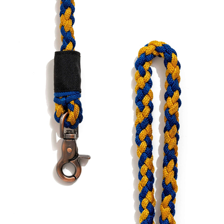 100% Fairtrade Recycled Ocean Bound Plastic - BETTERLEASH: Neon Fuchsia / Small