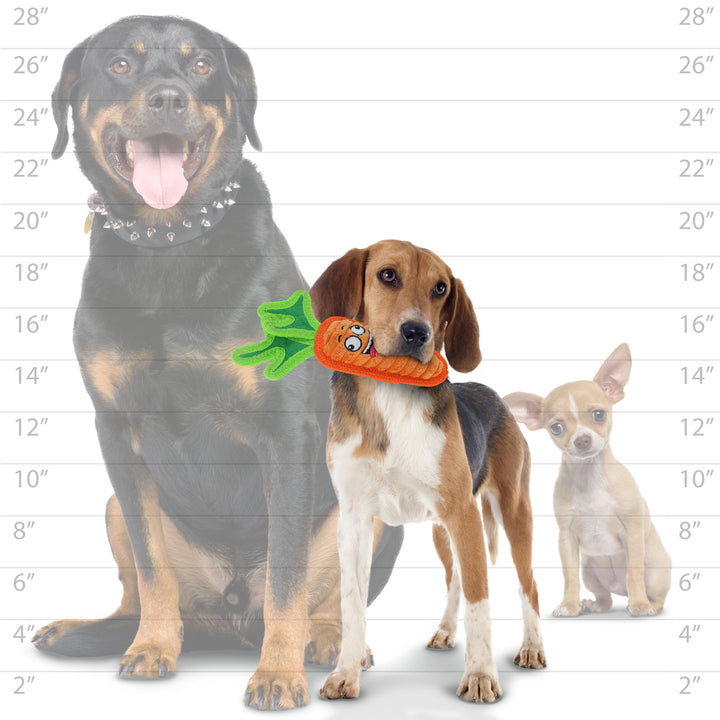 Tuffy® Funny Food Carrot Dog Toy