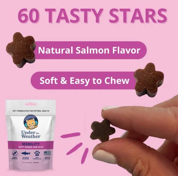Dog treats with '60 Tasty Stars' text, natural salmon flavor, and soft chew quality on a pink background.