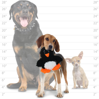 A comparison image showing a medium-sized dog holding the black and white plush penguin toy in front of a size chart with two other dogs.