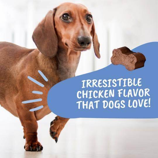 Under the Weather Disc & Spine Soft Chew 60ct
