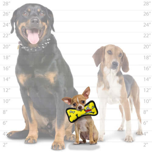 Size comparison chart showing the yellow Tuffy bone toy held by a small dog, alongside a larger dog and a beagle for scale.