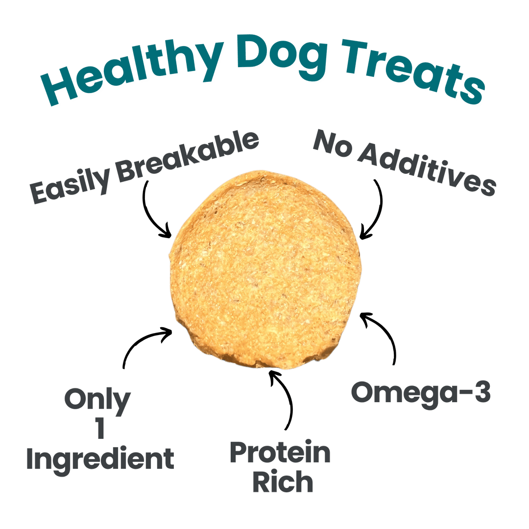 Fish Chips Healthy Dog Snack Pack Bundle (24 pack)