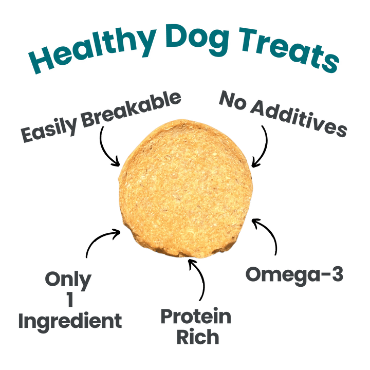Fish Chips Healthy Dog Snack Pack Bundle (24 pack)