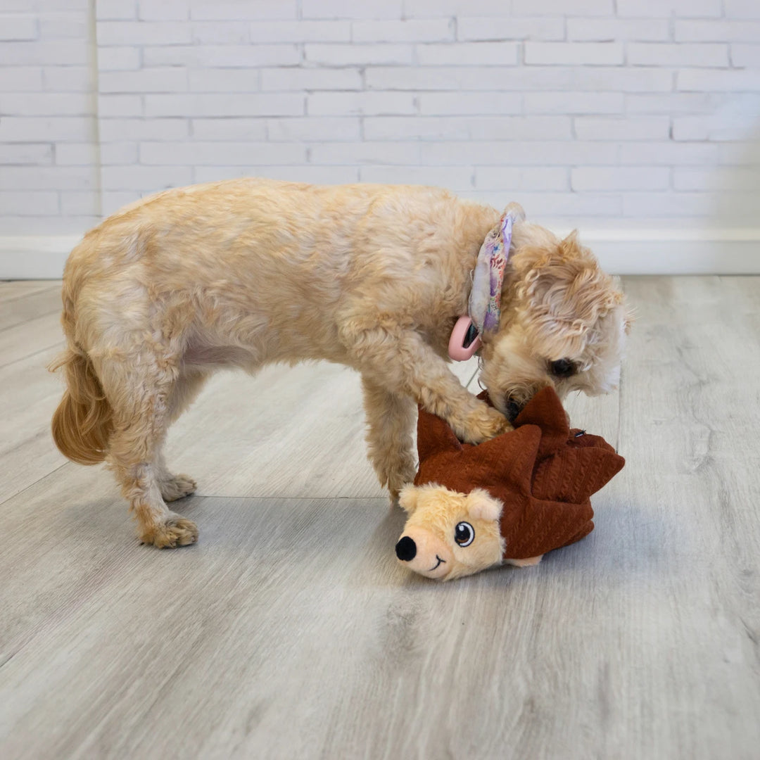 KONG® Layerz Forage Hedghog Dog Treat Dispenser – Medium