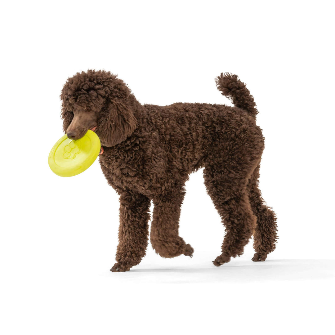 West Paw Zisc® Flying Disc Fetch Dog Toy: Granny Smith / Small