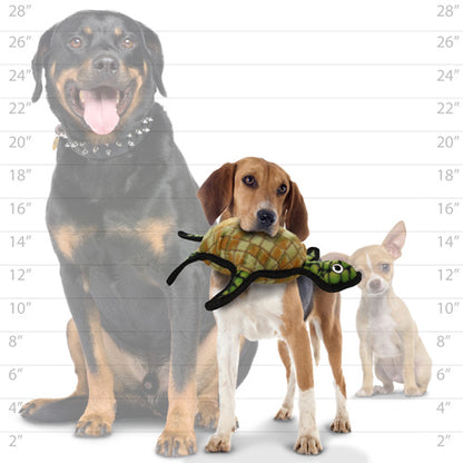 Size comparison chart with a beagle holding the Tuffy turtle toy in its mouth, alongside a large dog and a small dog for scale.