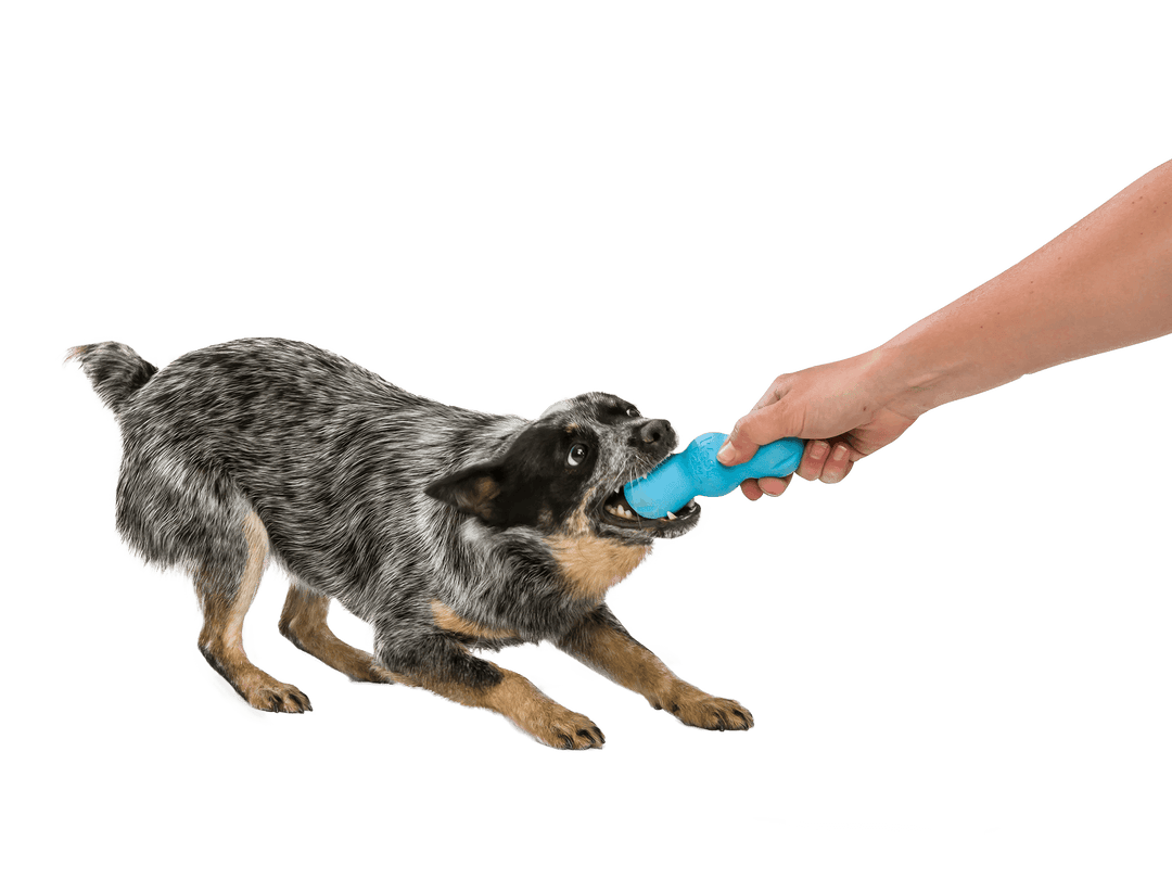 West Paw Rumpus® Dog Chew Toy: Aqua Blue