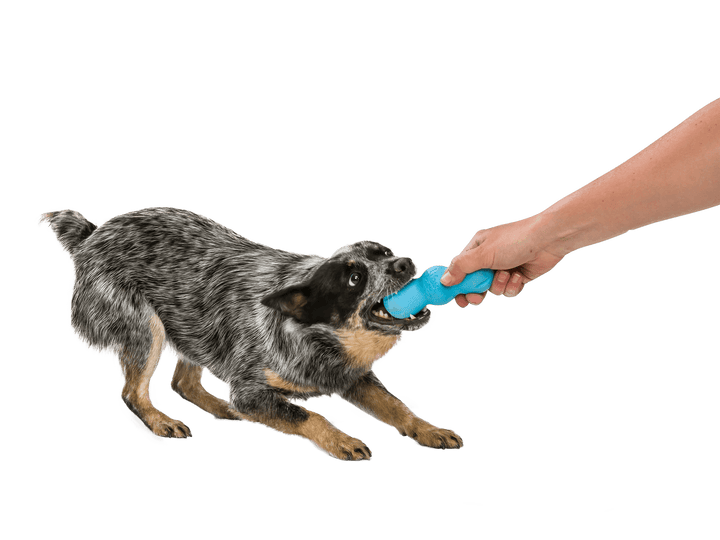 West Paw Rumpus® Dog Chew Toy: Aqua Blue