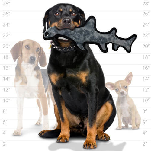 Size comparison chart showing a large dog holding the gray hammerhead shark Tuffy toy in its mouth, alongside a beagle and a small dog for scale.